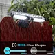 solar light